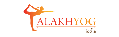 Avolution Plastering
